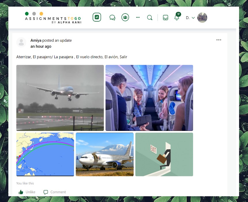 User Timelines Image
