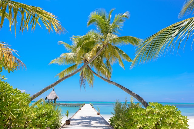 pexels-asad-photo-maldives-1591375